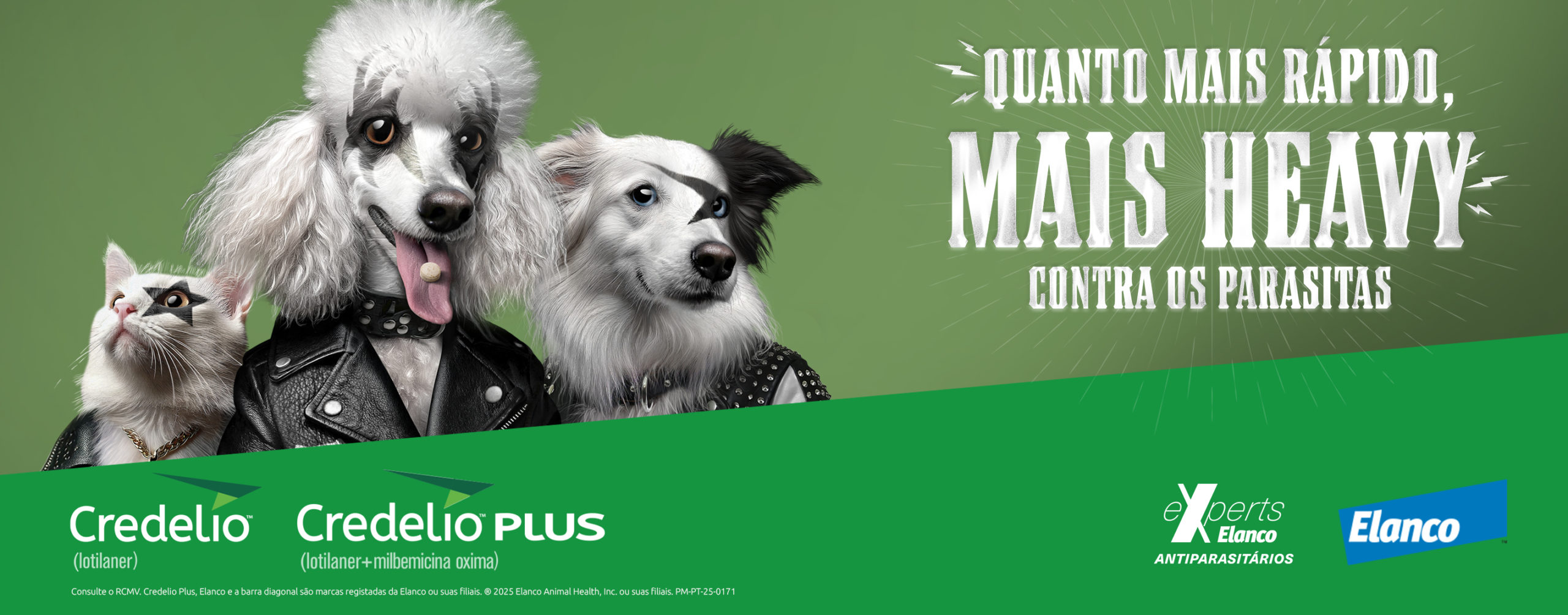 PT_Banner_heavy_desparasitacion_2025_v3