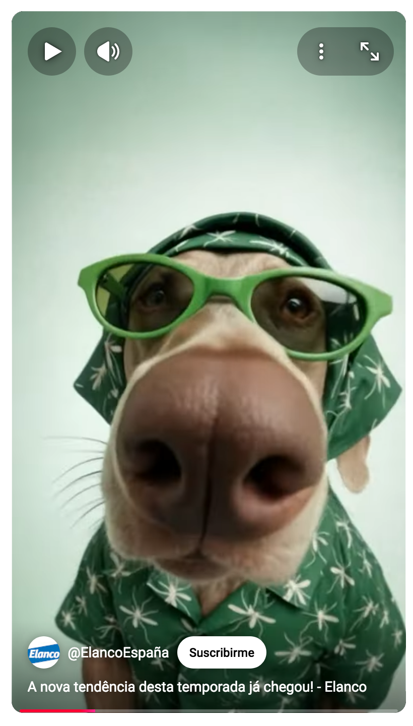 _imagen-RedCarPET_video_PT