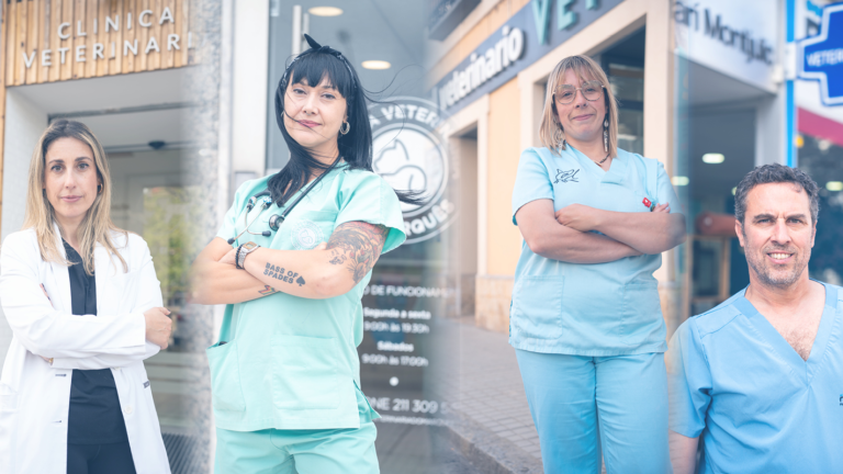 Vidas Veterinárias